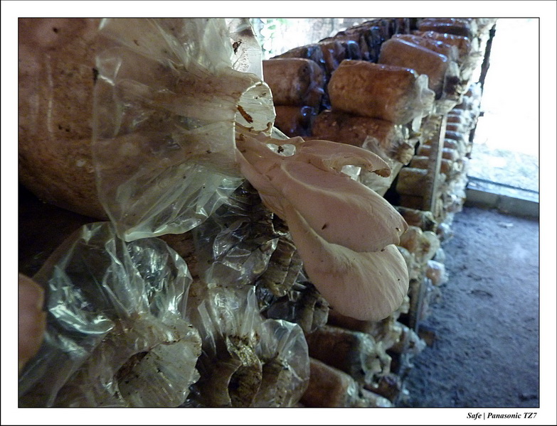 2012 - 03 - Koh Lanta 28